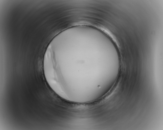 X0000089720945200707201818