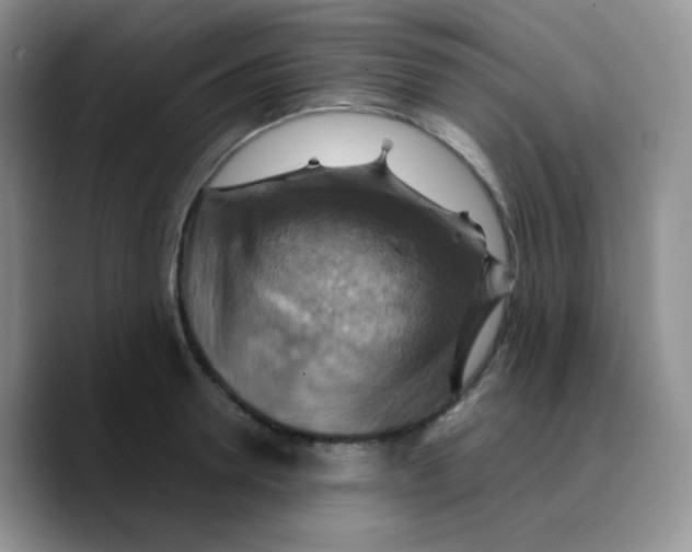 X0000089720946200707201818