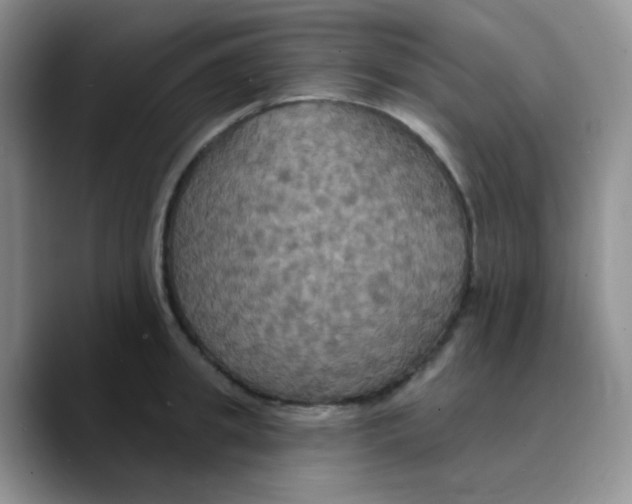 X0000089720949200707201818