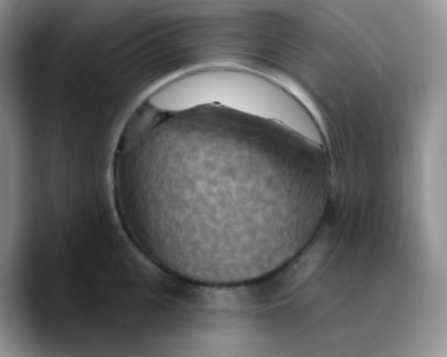 X0000089720951200707201818
