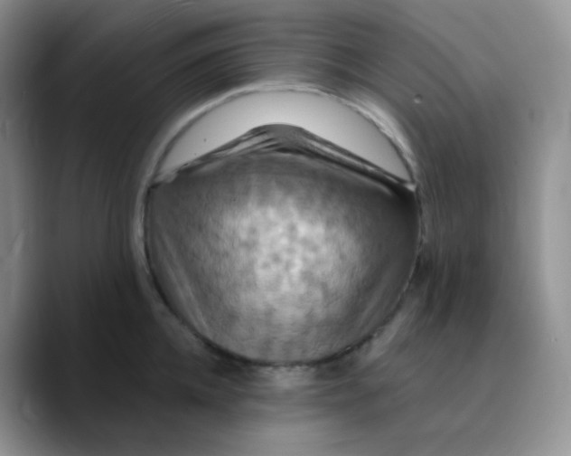X0000089720952200707201818