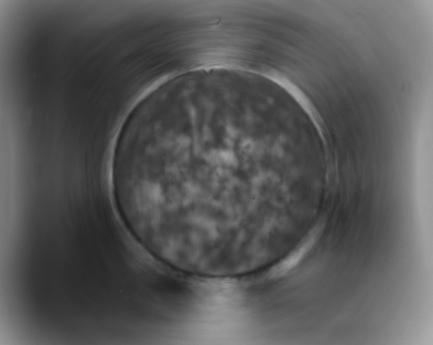 X0000089720957200707201818