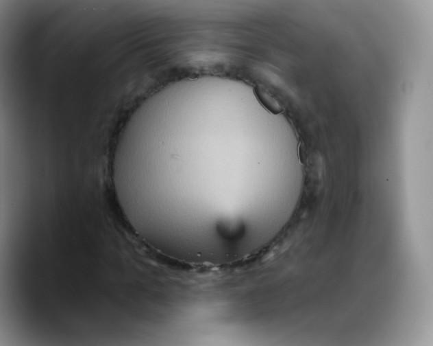 X0000089720965200707201817