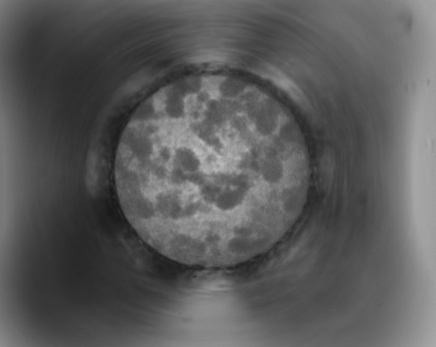 X0000089720967200707201817