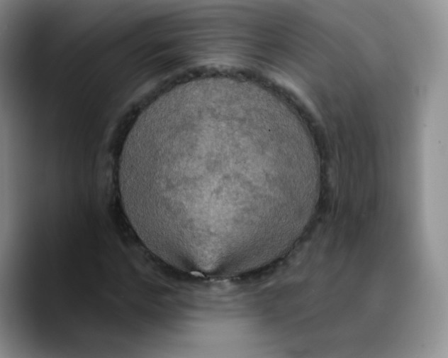 X0000089720968200707201817