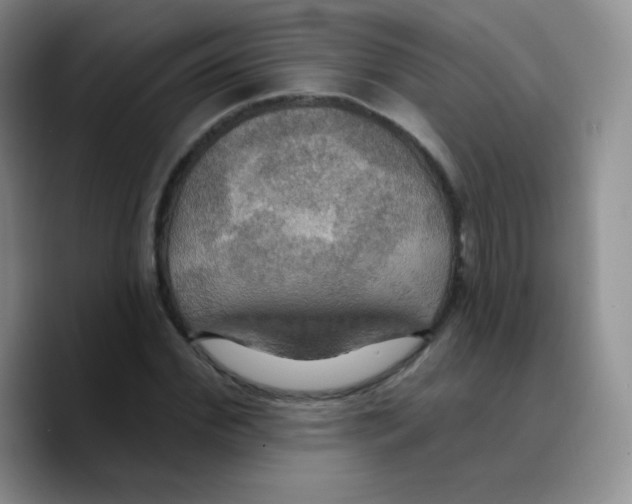 X0000089720972200707201817
