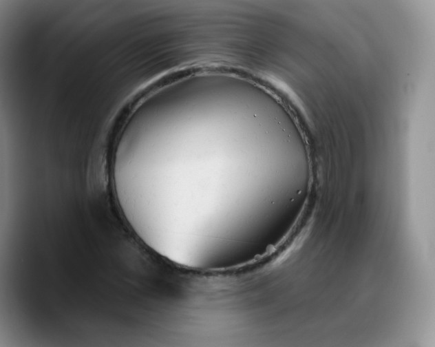 X0000089720973200707201817