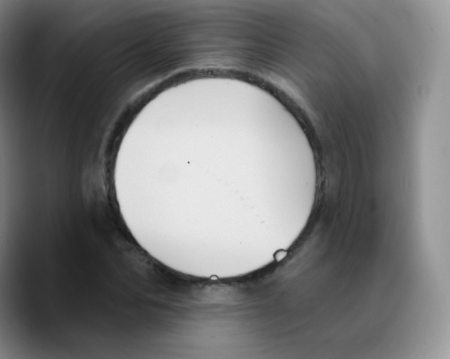 X0000089720974200707201817