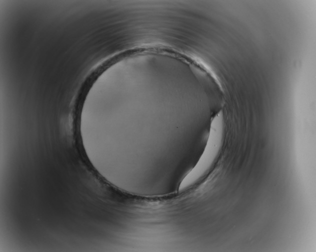 X0000089720975200707201817