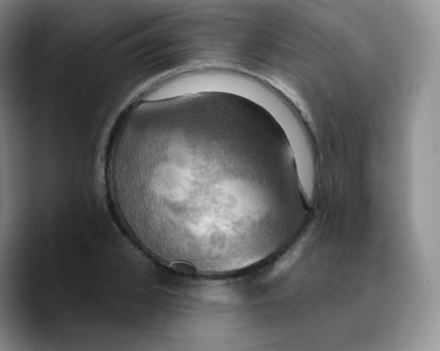 X0000089720976200707201817