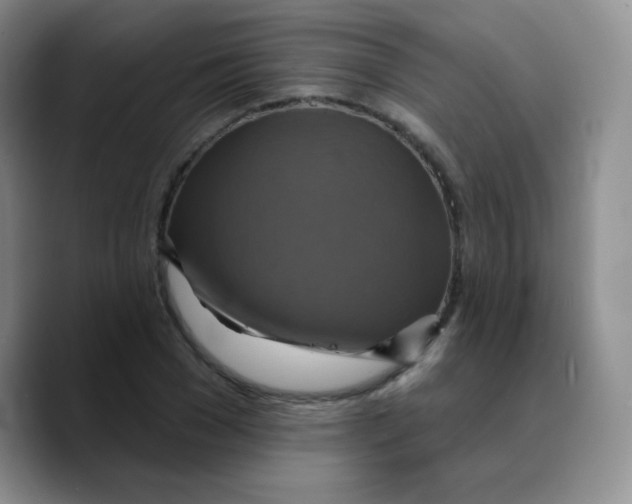 X0000089720977200707201817