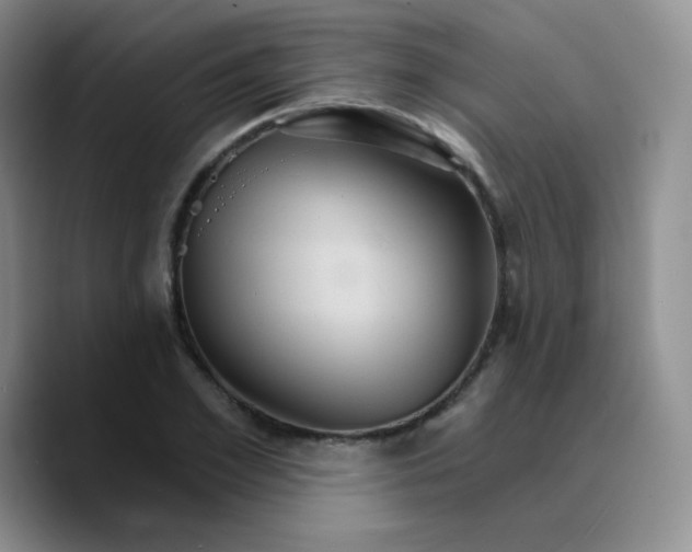 X0000089720981200707201817
