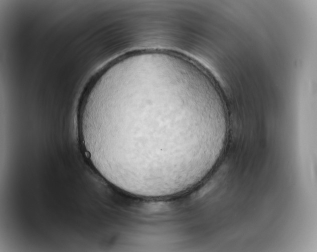 X0000089720982200707201817