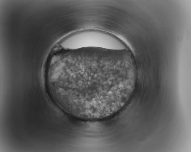 X0000089720983200707201817