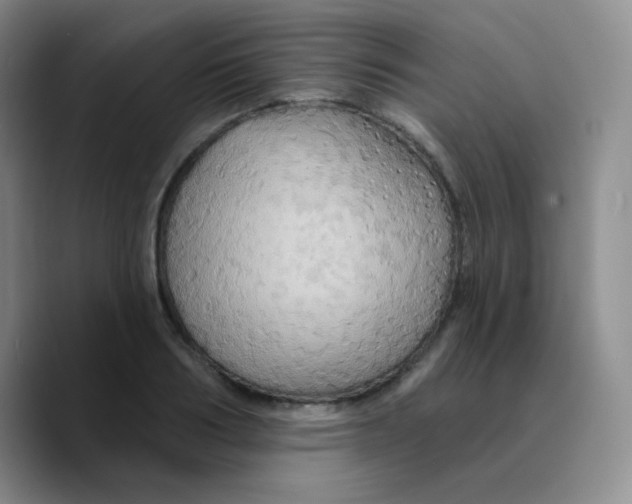 X0000089720986200707201817