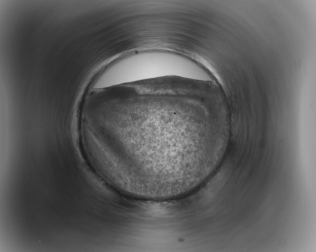 X0000089720987200707201817