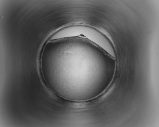 X0000089720989200707201817