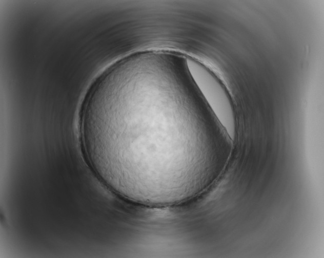 X0000089720990200707201817