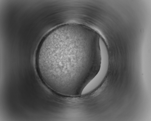 X0000089720991200707201817