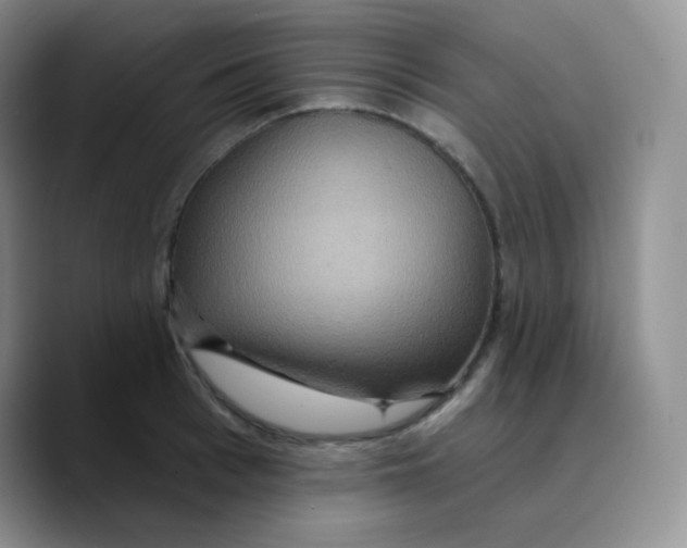 X0000089720993200707201817