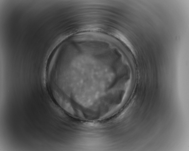X0000089720994200707201817