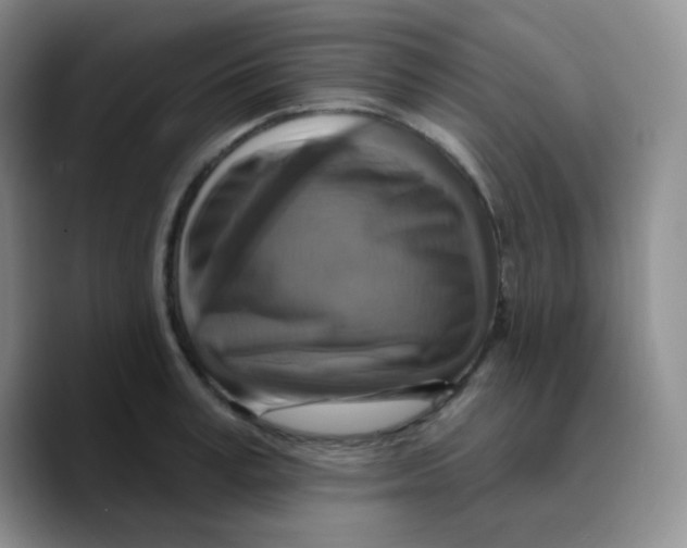 X0000089720995200707201817