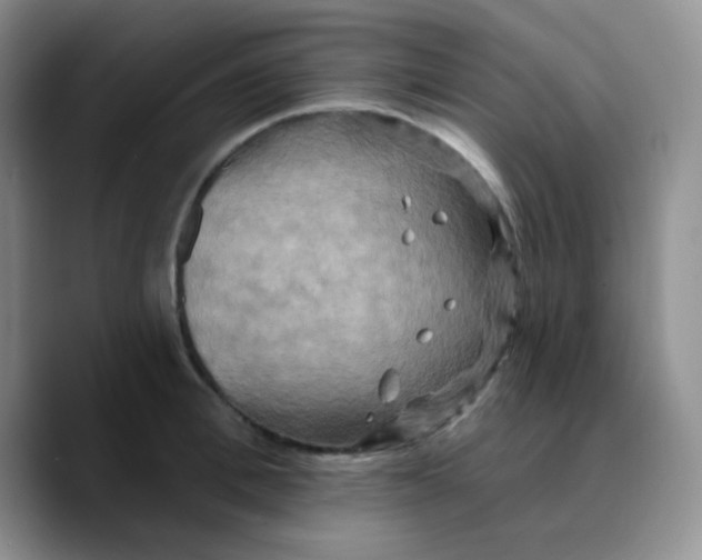 X0000089720996200707201817