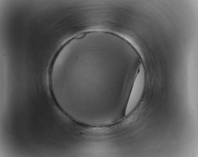 X0000089720998200707201817
