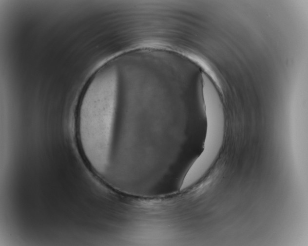 X0000089720999200707201817
