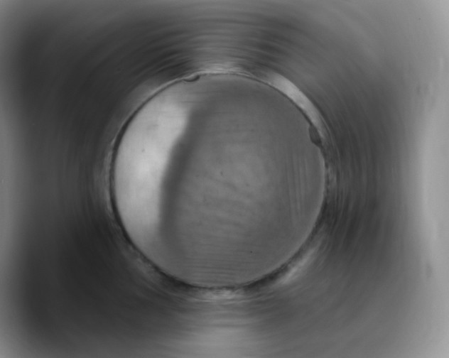 X0000089721002200707201817