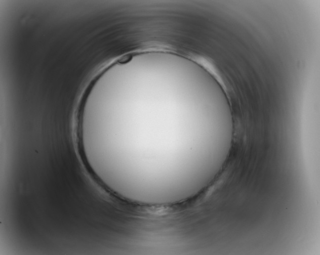 X0000089721003200707201817