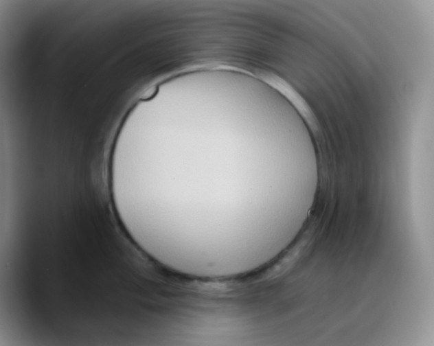 X0000089721004200707201817