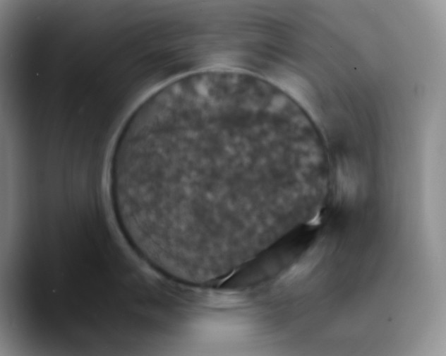 X0000089721007200707201817