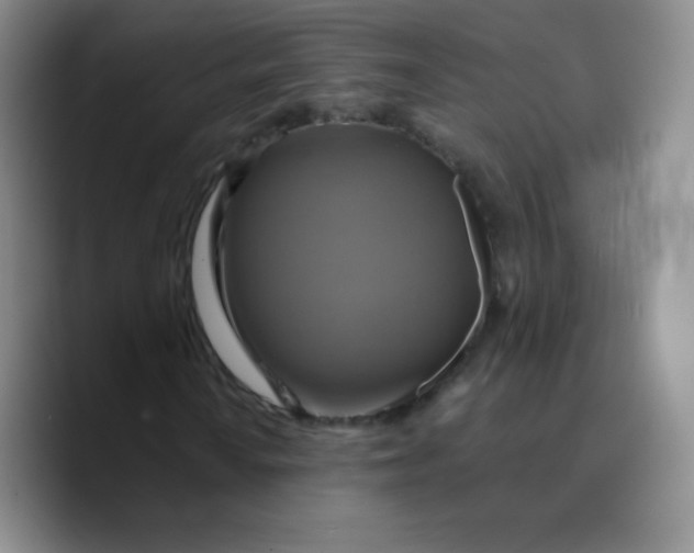 X0000089721010200707201816