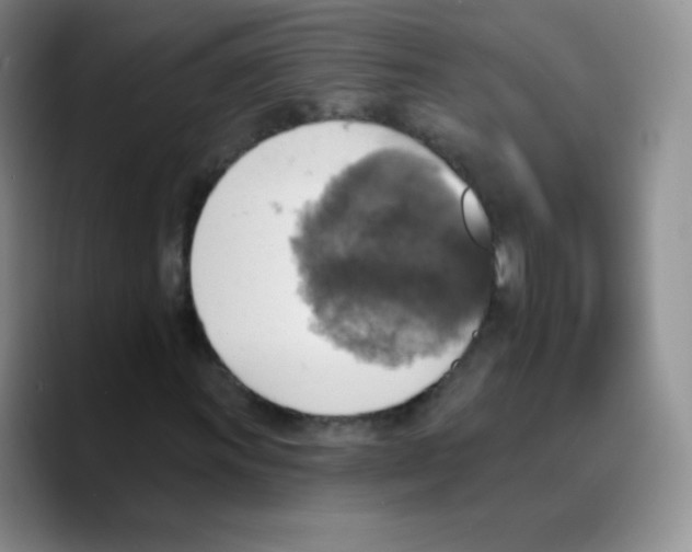 X0000089721011200707201816