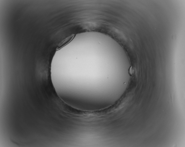 X0000089721012200707201816