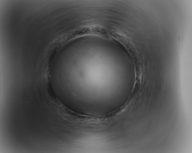 X0000089721014200707201816