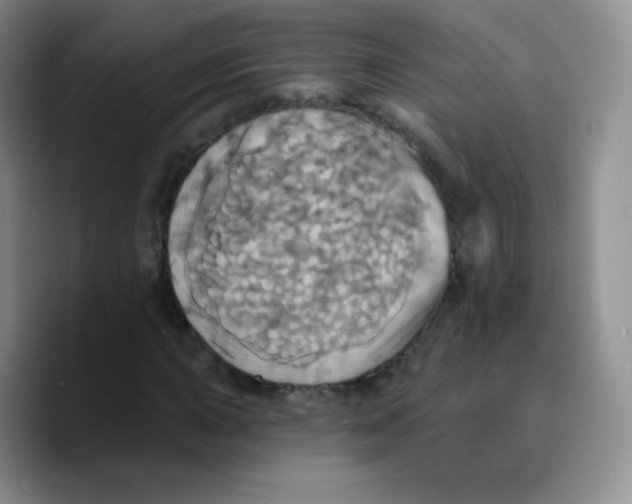 X0000089721015200707201816