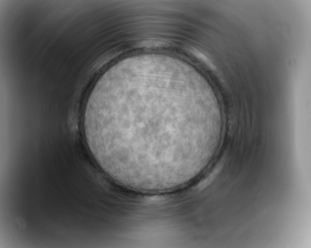 X0000089721017200707201816