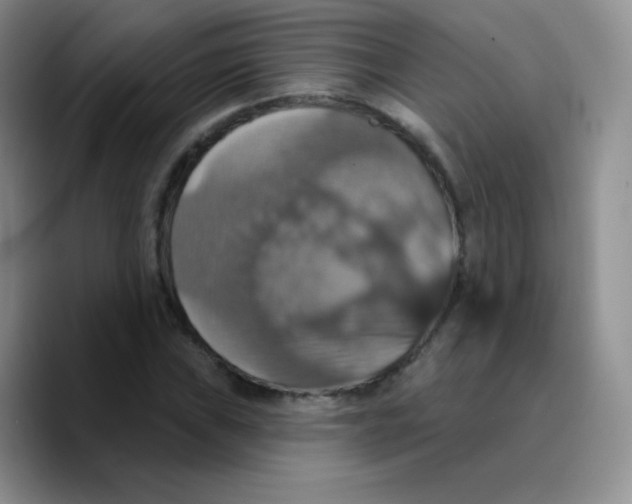 X0000089721019200707201816