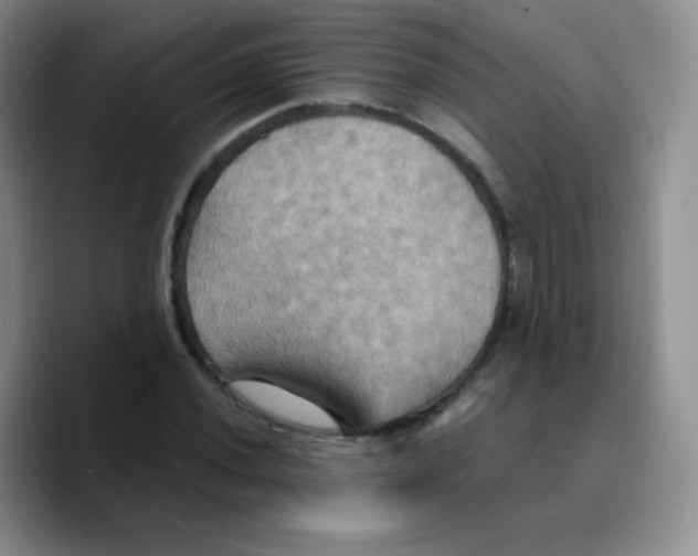 X0000089721020200707201816