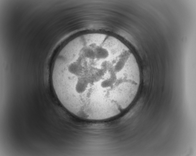 X0000089721021200707201816