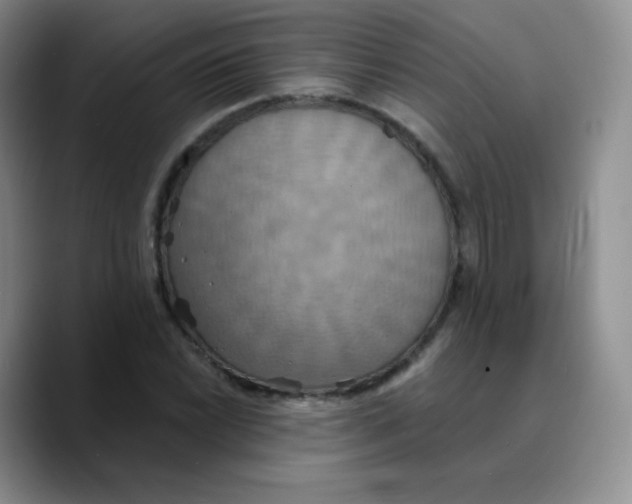 X0000089721022200707201816