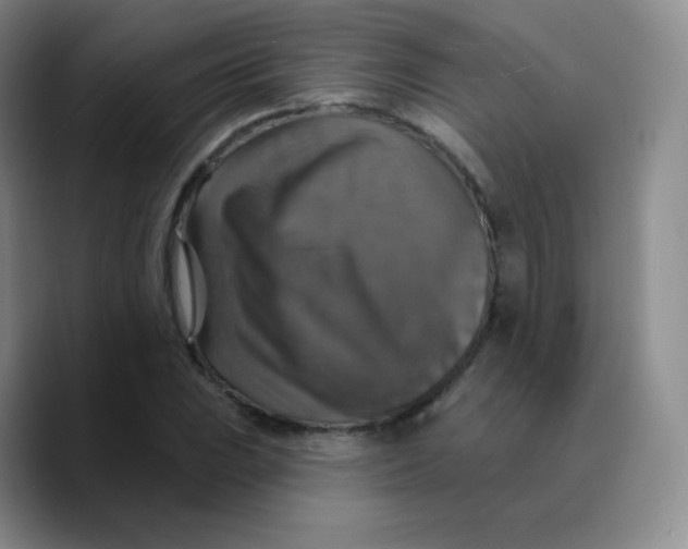 X0000089721023200707201816