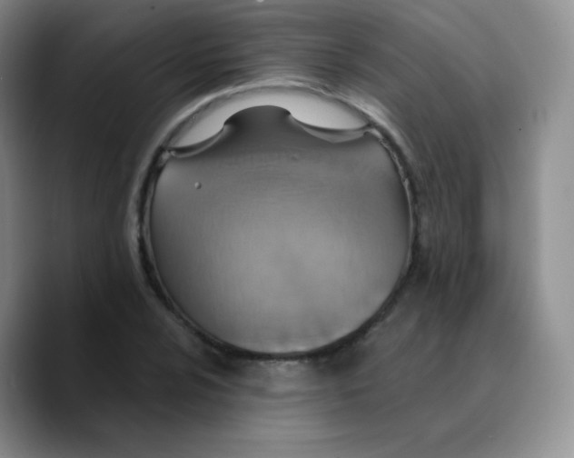 X0000089721024200707201816