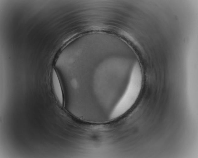 X0000089721025200707201816