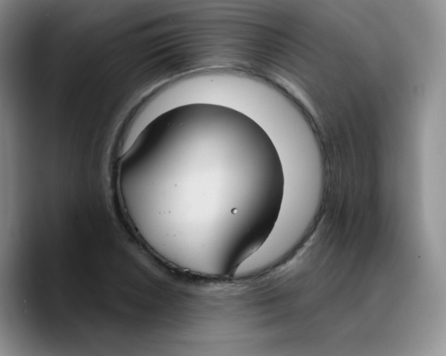 X0000089721026200707201816