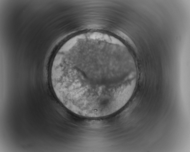 X0000089721027200707201816