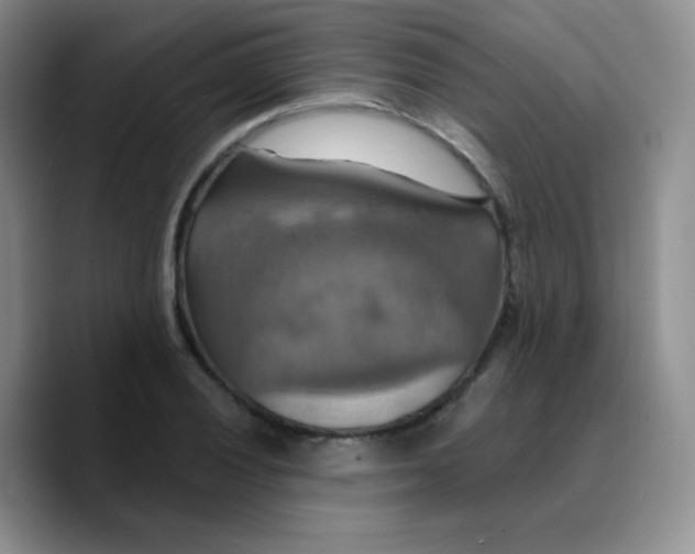 X0000089721028200707201816