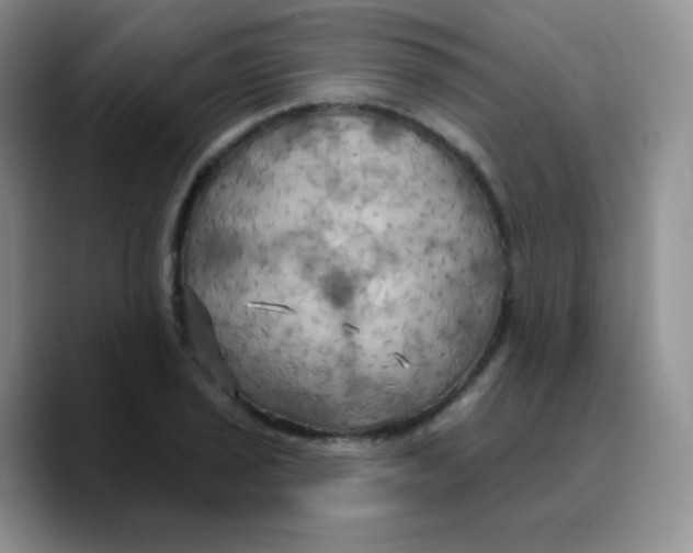 X0000089721029200707201816